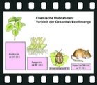 Integrated Plant Protection, 9 projection slides