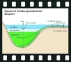 Results of water pollution: eutrophication and destruction of water organisms, 9 projection slides