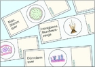 Series for Secondary Schools, Set No. IV. Hormone Organs and Hormonal Functions, 7 microscope slides