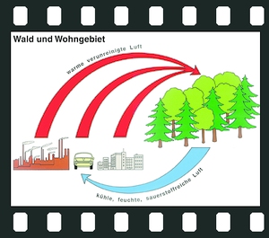 Our Environment, Threats and Protection (former no. 870). Complete set, 74 projection slides