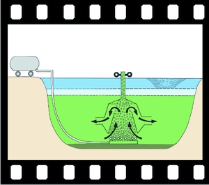 Lake rehabilitation and lake restoration, 11 projection slides