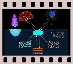 Acidification of waters, Biocides in waters, 6 projection slides