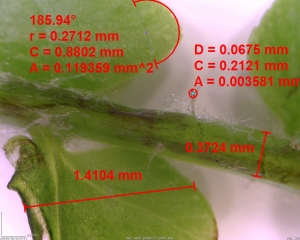 Znanost in biologija