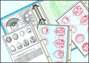 Media Packages, Parts A, B and D together, 125 items, in three plastic files