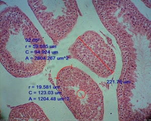 Znanost in biologija