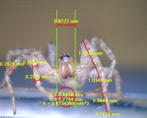 Znanost in biologija