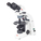 Mikroskop binokularni Polarizacijski BA300 