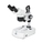 Stereo mikroskop SFC-11C-N2GG